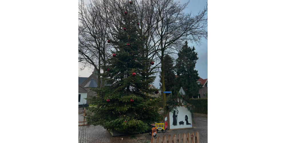 Samen laten we de kerstboom stralen!