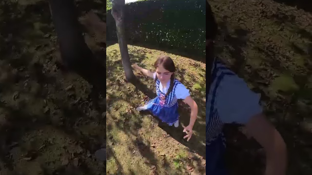 Video: Trek je dirndl of lederhosen aan, want Langenboom viert dit jaar voor het eerst Oktoberfest!