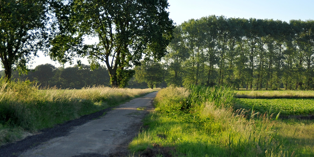 Vaardijk in Mill