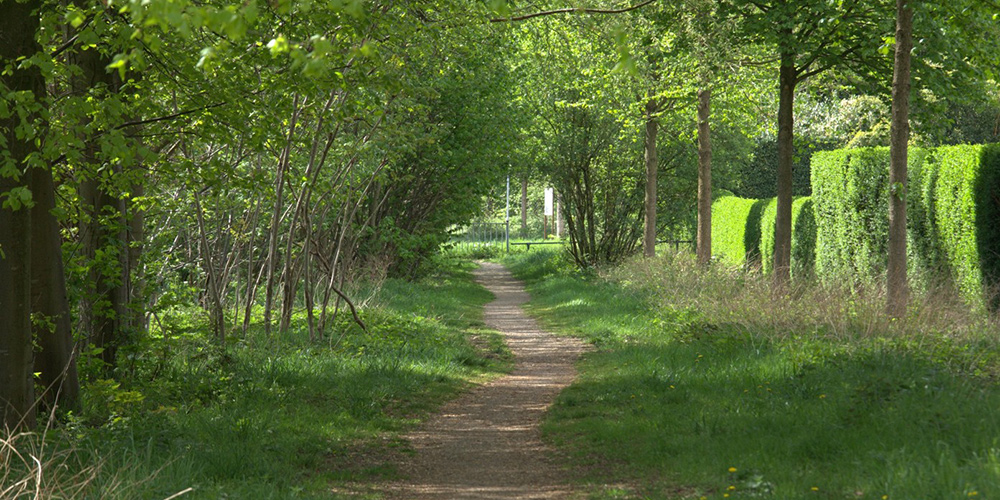 Kom zondag 1 juni wandelen in Mill!