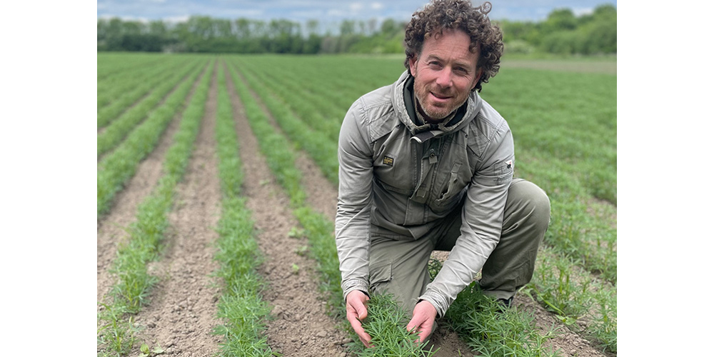 Rondje Tongelaar 25 mei 2025