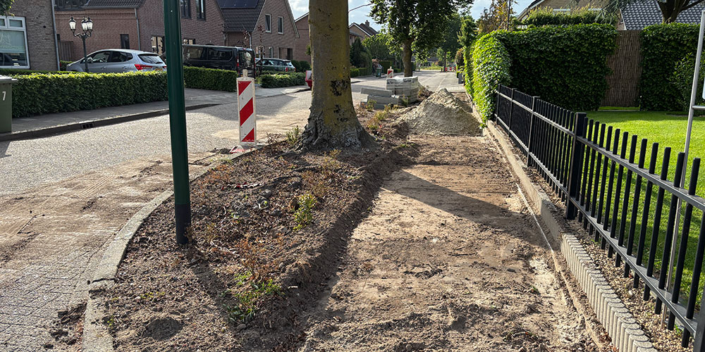 Succes voor toegankelijkheid: trottoir Nachtegaalstraat Mill wordt hersteld mét behoud van bomen