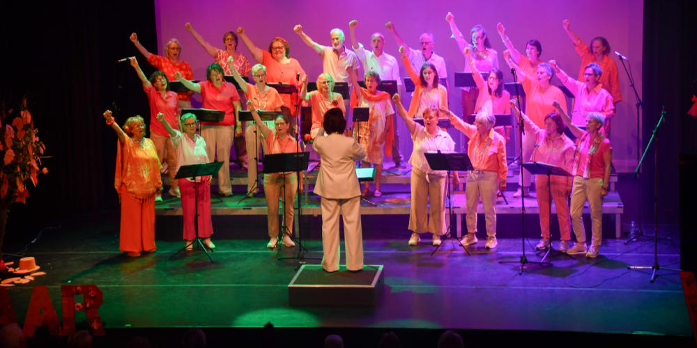 Vrijdag 27 juni 20.00 uur trappenconcert pop en musicalkoor VoiceMill bij Myllesweerd
