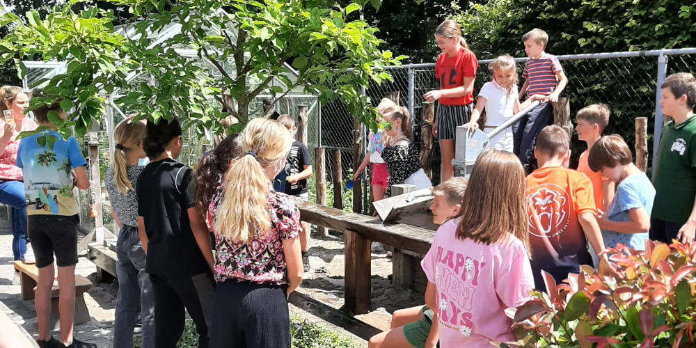 Waar jong en oud elkaar vinden: een zomerse ontmoeting in de tuin van de ZorgSchakel in Sint Hubert