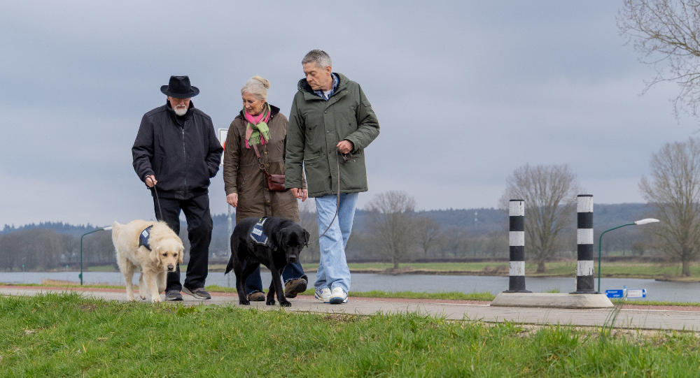 De Sociale Hulphond verspreidt geluksmomenten