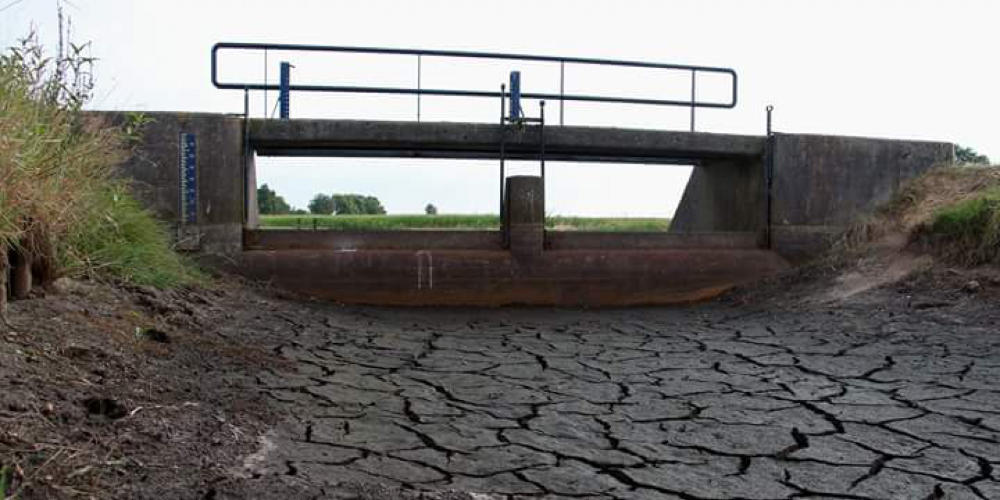 Berichten van de boswachter