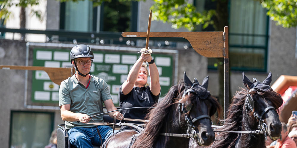 Dag van Het Paard
