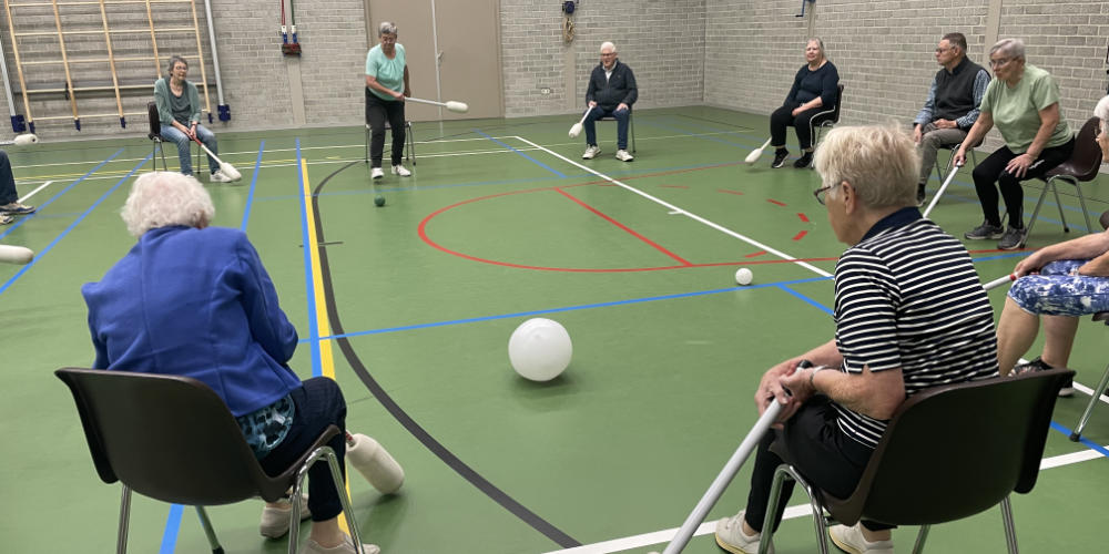 Welzijn Ouderen Mill - Gymnastiek