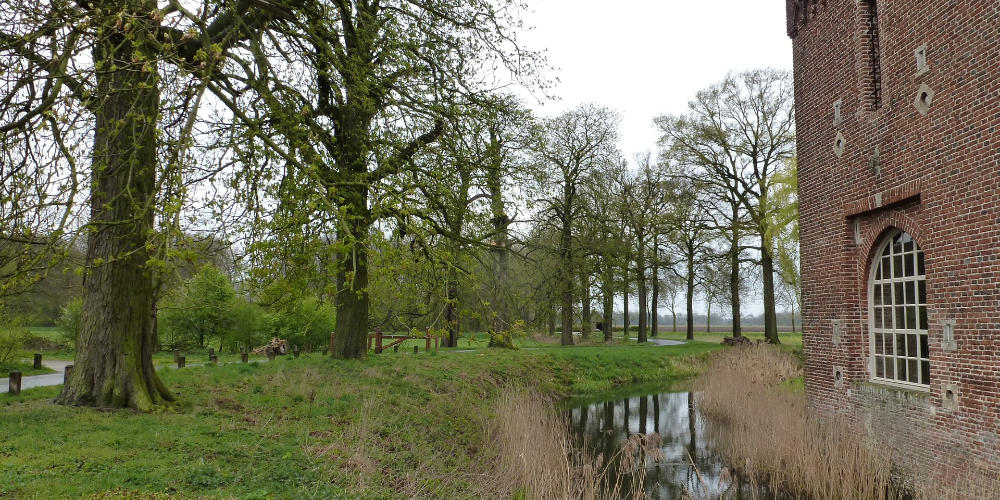 Zondag 23 november bomen over bomen op Landgoed Tongelaar in Mill