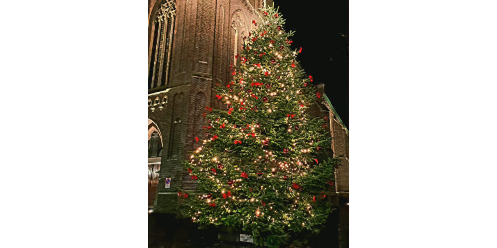 De wensbomen zijn er weer!