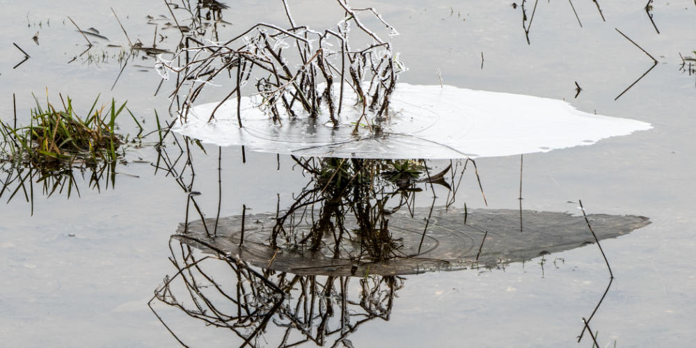 Fotoclub Kiekus exposeert weer!