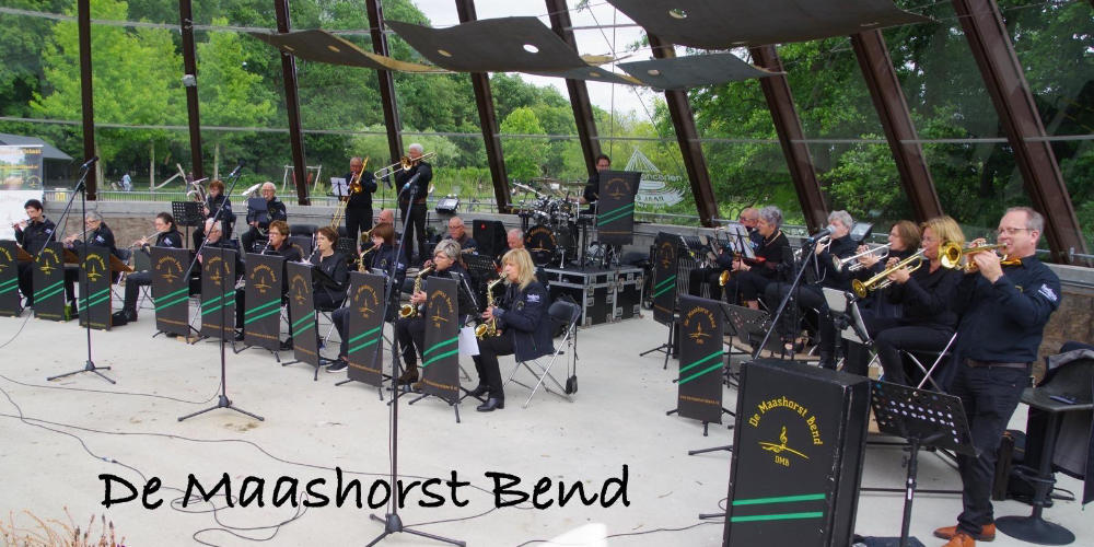 Save the date: 10 januari - Nieuwjaarsconcert