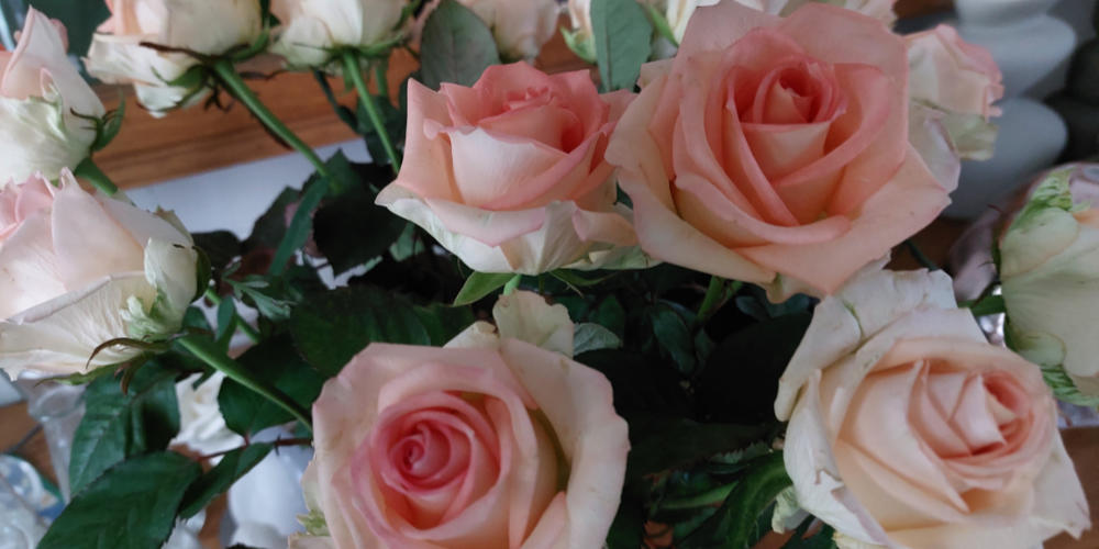 Uit het leven gegrepen