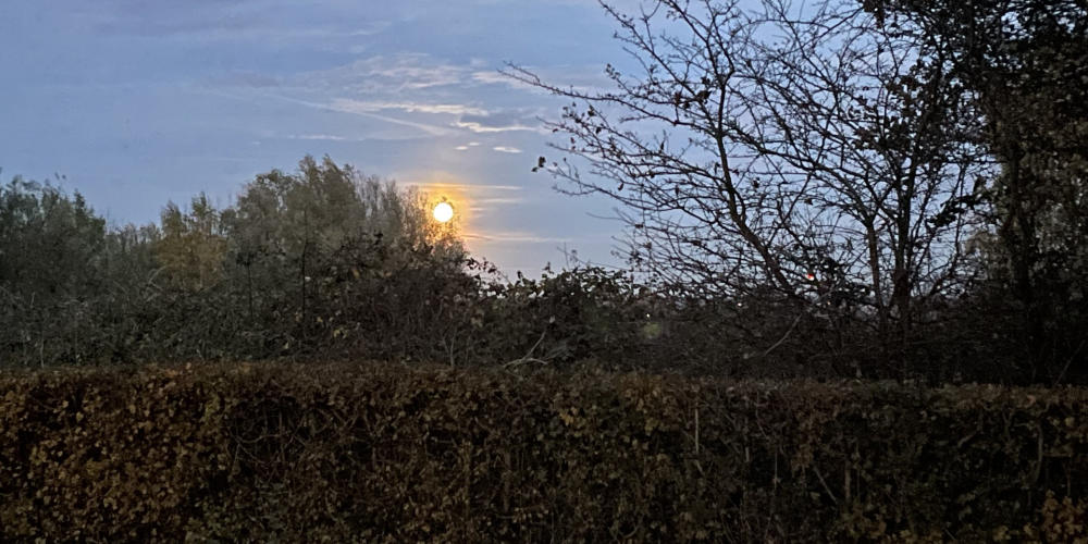 Vollemaan wandeling Landgoed Tongelaar