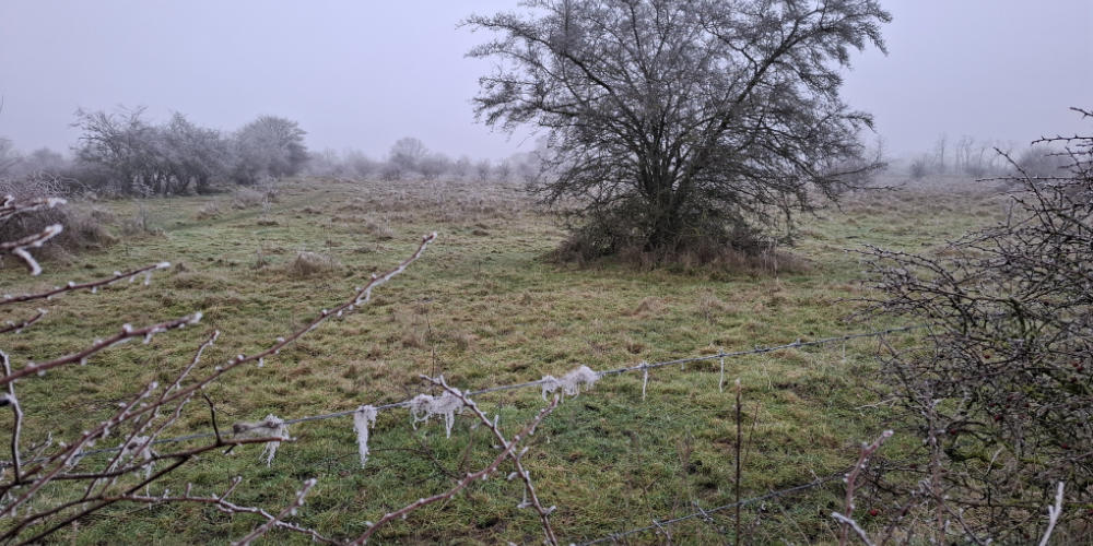 Morgen winterwandeling in en rond Mill
