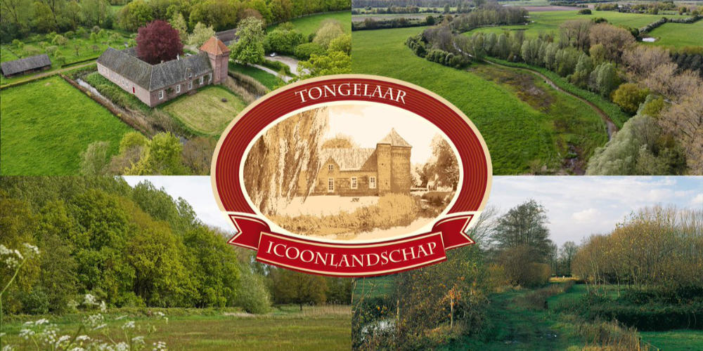 Rondje Tongelaar zondag 25 januari