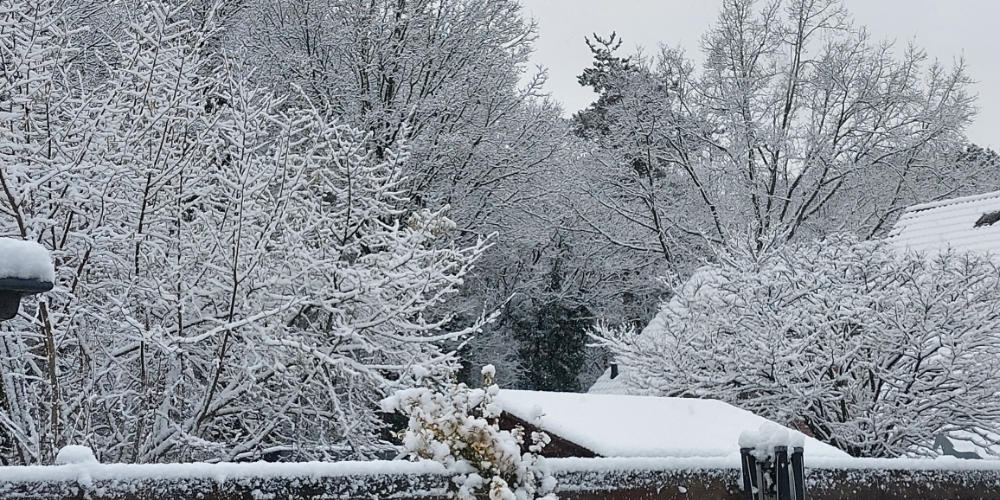 Uit het leven gegrepen