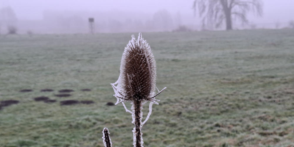 Winterwandeling in en rond Mill op zondag 11 januari