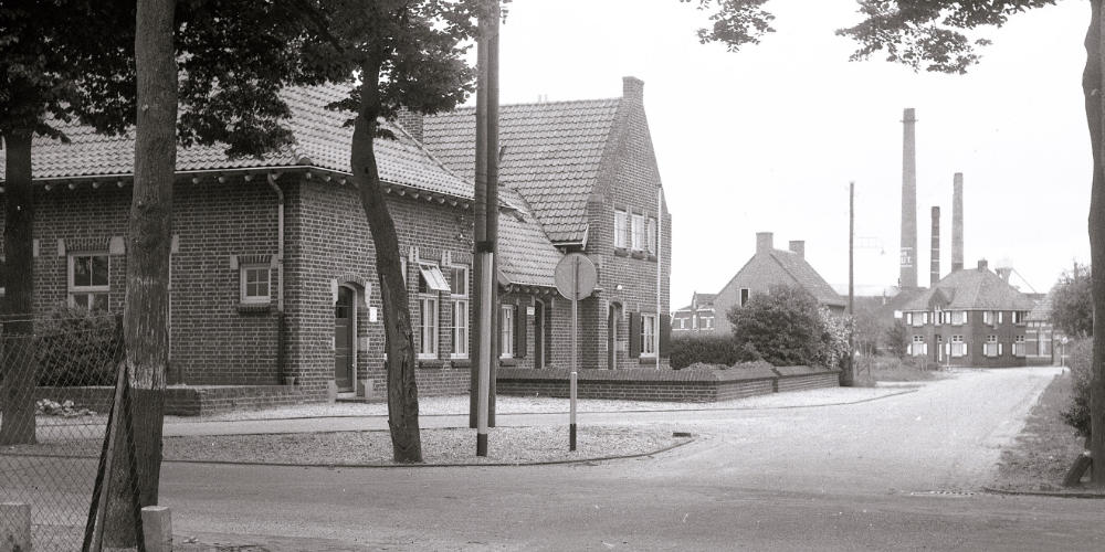 Mill van Toen: Melkweg jaren zestig