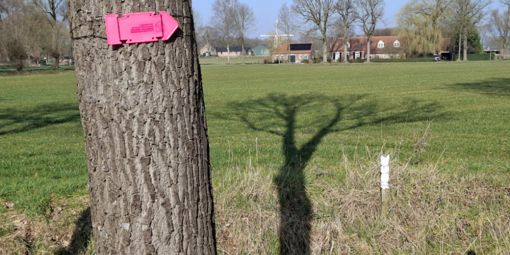 Wandelsportvereniging Amicitia sluit morgen winterserie af met mooie wandeltocht