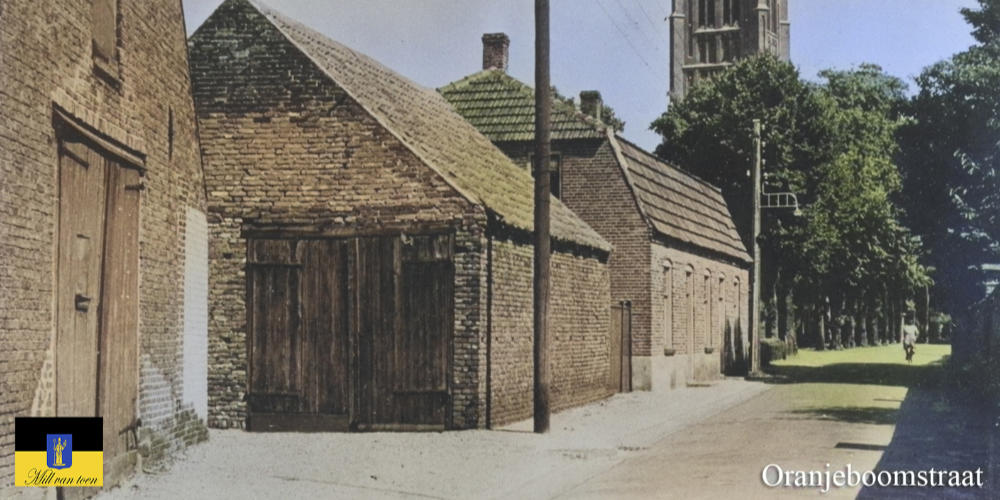 Mill van Toen: Oranjeboomstraat 1950