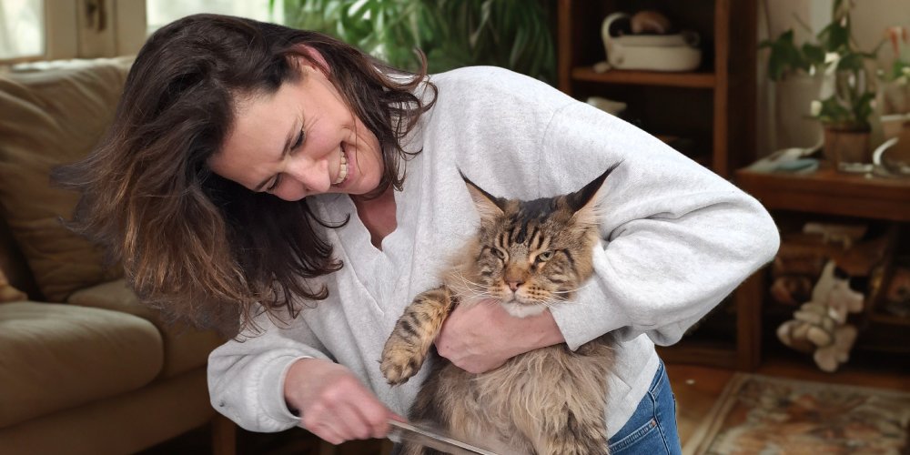 Van passie voor dieren naar eigen kattentrimsalon aan huis in Mill