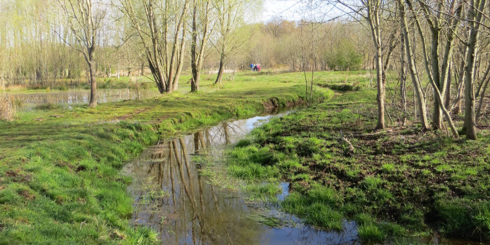 Wandeling door de Groespeel in Mill