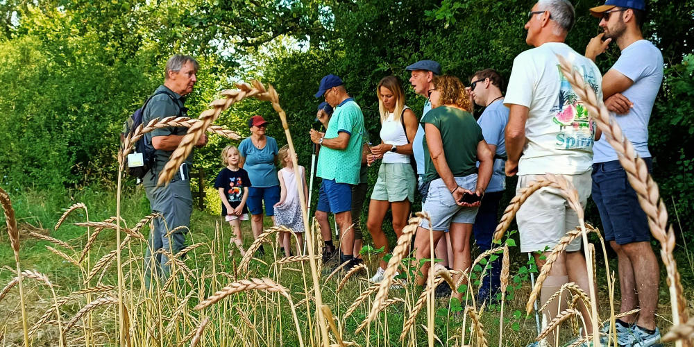 Zomerwandelingen voor blinden en slechtzienden op Tongelaar