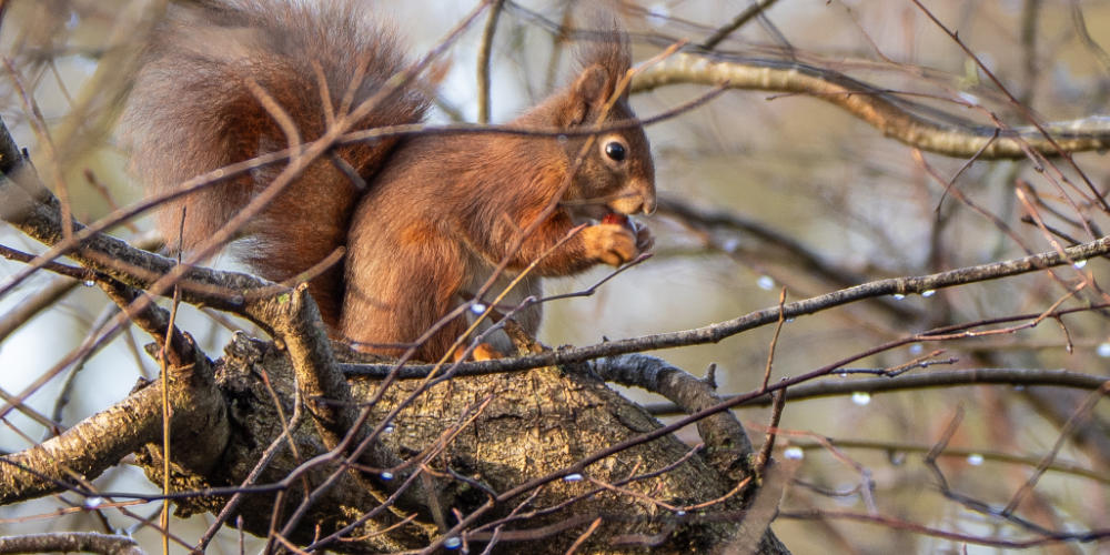 Fotowedstrijd: Natuur in de eigen regio!